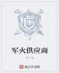 军火供应商